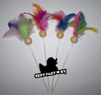 Plumas acariciadoras 